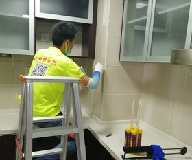 錦江區(qū)家庭保潔服務 專業(yè)清潔，讓家煥然一新